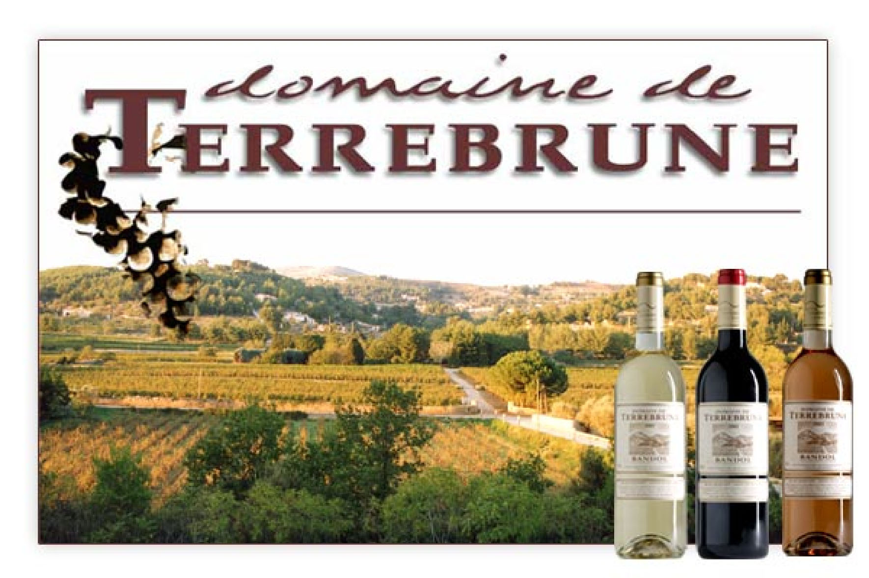 Domaine Terrebrune